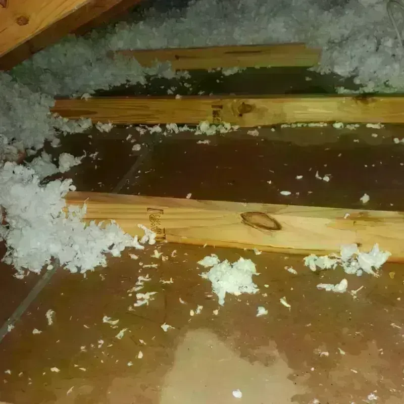 Attic Water Damage in La Habra Heights, CA